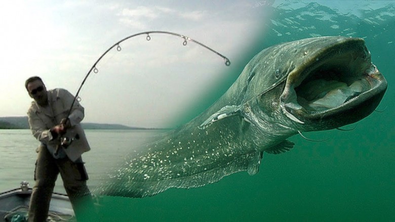 Ribolovačka oprema za profesionalce