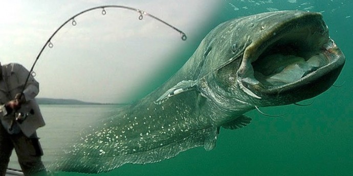 Ribolovačka oprema za profesionalce