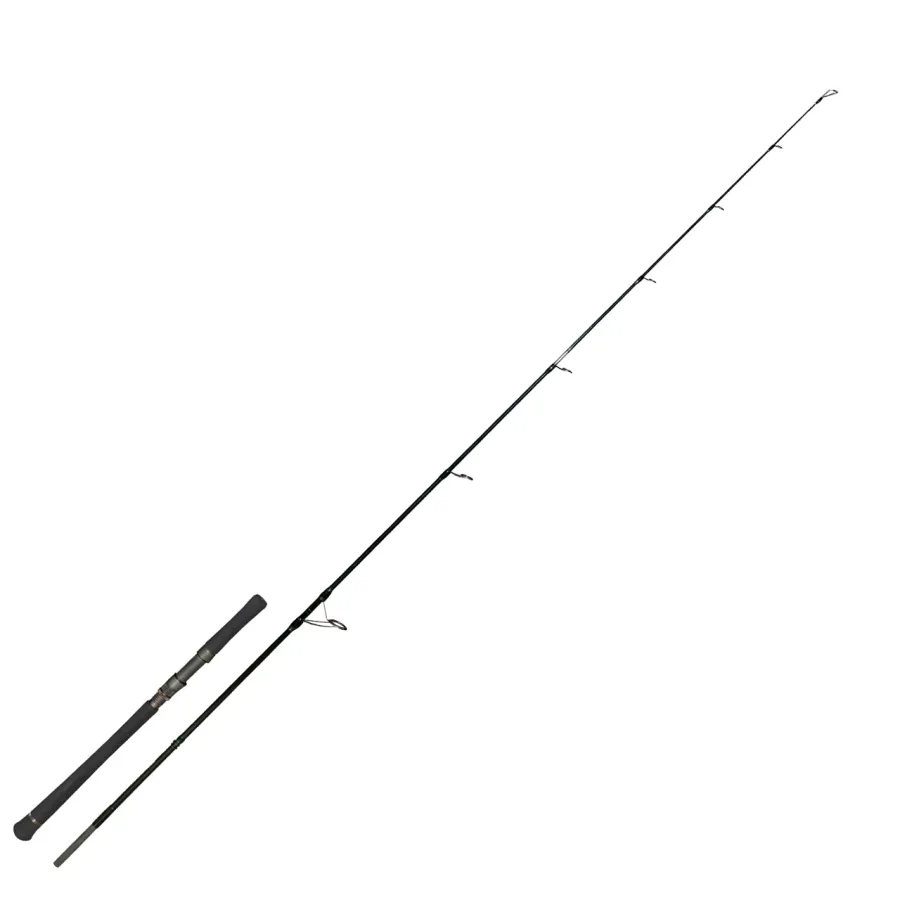 Zeck Catfish Evo Cat Spin 260 | 120 - Ribolovački štap za soma